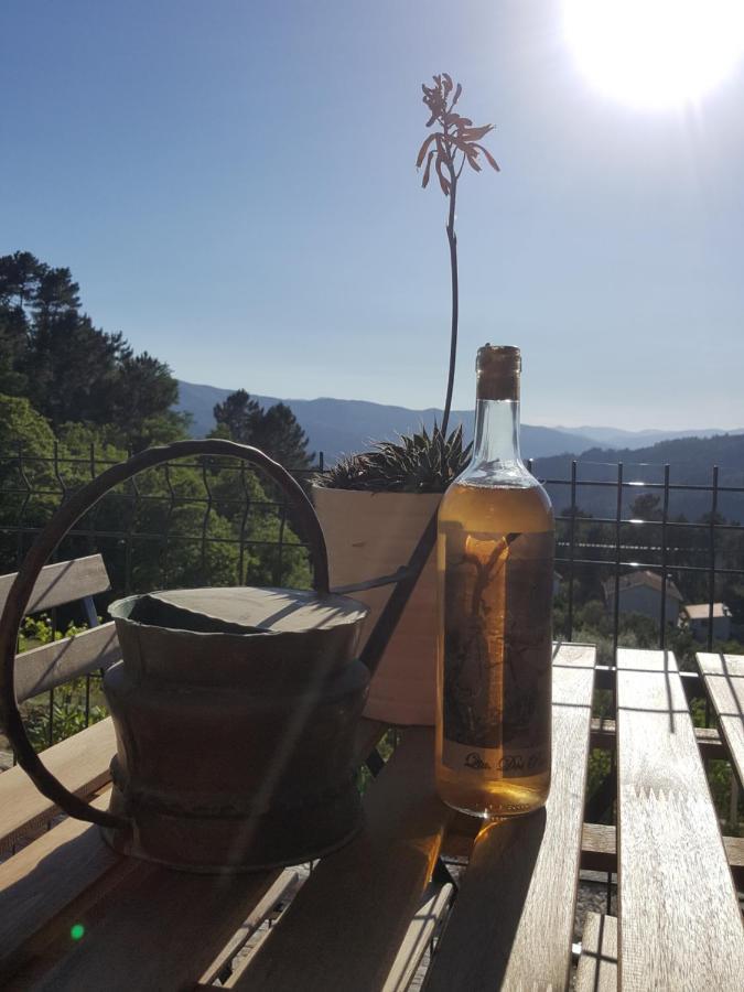 Chalet Por Do Sol Castro Daire Zewnętrze zdjęcie